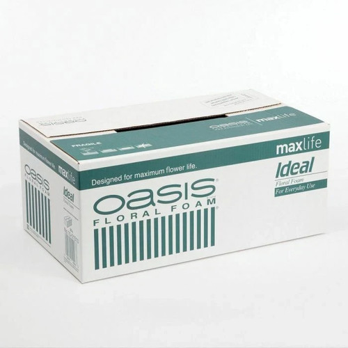 Oasis ideal green wet - oasis,