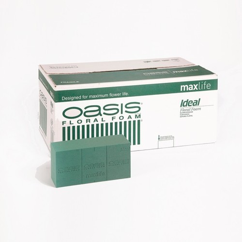 Oasis brick block ideal wet - brick,