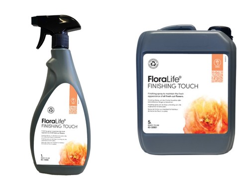 Oasis finishing touch spray - oasis,