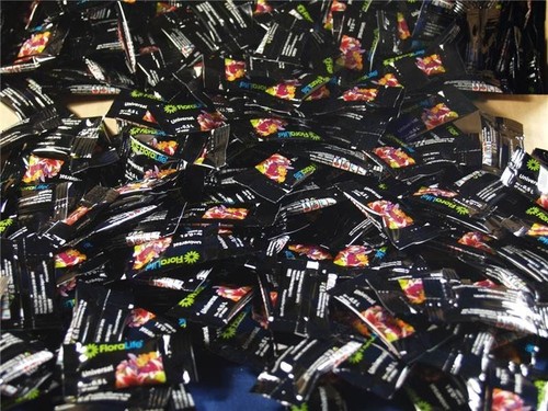 100 sachet oasis flora life - oasis,