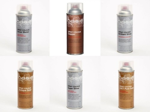 Oasis flower paint - paint, spray